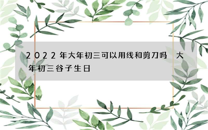 2022年大年初三可以用线和剪刀吗 大年初三谷子生日